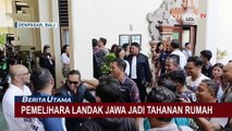 Keluarga Sambut Bahagia Penangguhan Penahanan I Nyoman Sukena si Pemelihara Landak Jawa