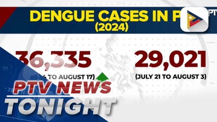 DOH: Dengue cases up 25% in August
