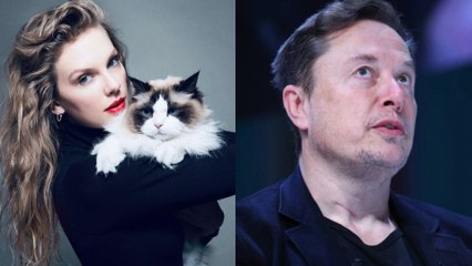 Taylor Swift: Elon Musk Dice Que Le Dará Un Hijo Tras Apoyar A Kamala Harris