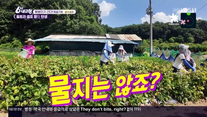 [ENG] 240909 KBS Hometown Report Part 2