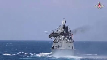 Russia and China hold live naval drill near Japan