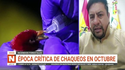 Época Crítica de Chaqueós