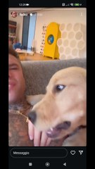 silvio mi puoi lasciare in pace