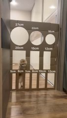 26 июля 2024 г(360P)