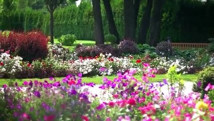 4 affaires horribles. Rentre chez lui en vélo et disparaît. Résolu après 13 ans_