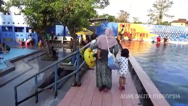 Balita lucu Renang Di Sore Hari, Kolam Renang Anak, Fun Kids Learn Swimming