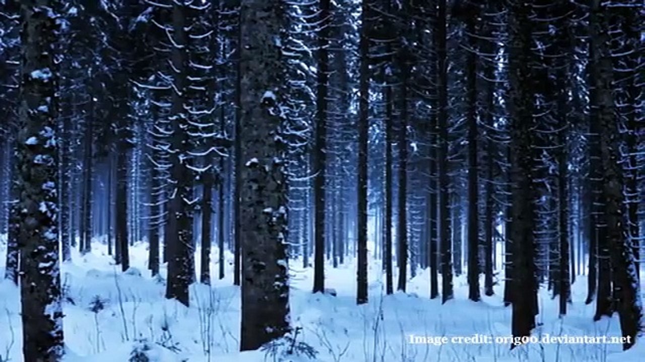 Beyond the Snowstorm: The Yuba County Five