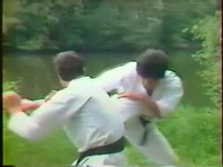 L'essence du karaté par Kenji Tokitsu