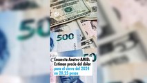 Encuesta Anatec-AMIB: Estiman precio del dólar para el cierre del 2024 en 20.25 peso