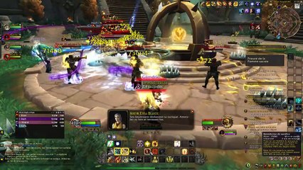 Des paladins trop stylés ! | #22 | WoW