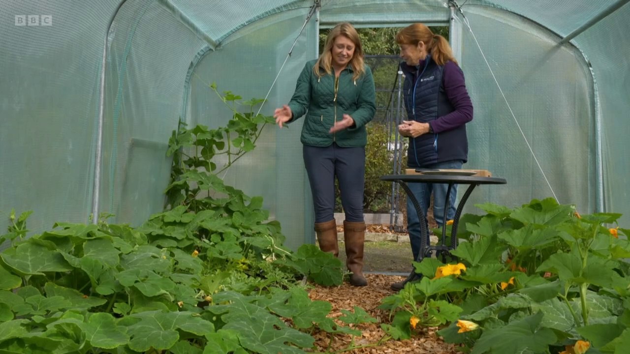 The Beechgrove Garden 2024 episode 24