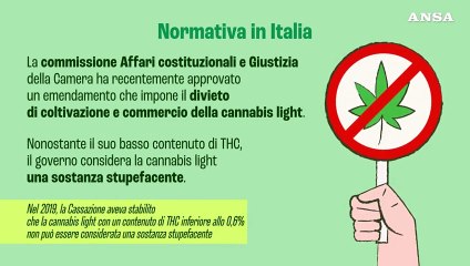 Che cos'e' la cannabis light