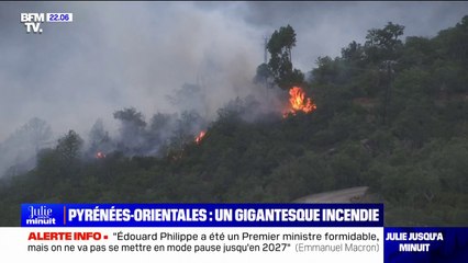 Incendie dans les Pyrénées-Orientales: 80 personnes évacuées par précaution