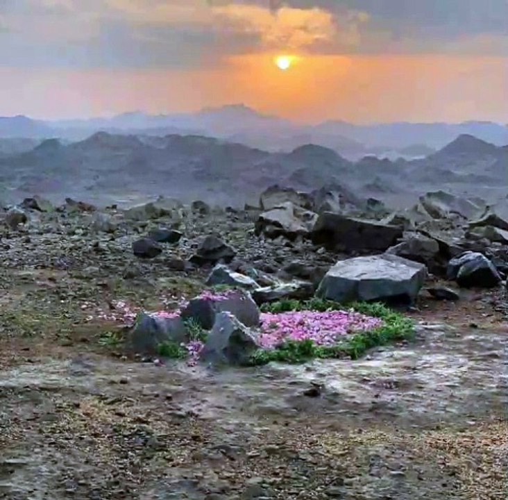 Hazrat Abdullah aur Hazrat Amina ki shadi ka waqia Part 18 || Tareekh e Muslim