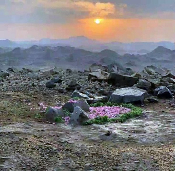 Hazrat Abdullah aur Hazrat Amina ki shadi ka waqia Part 22|| Tareekh e Muslim