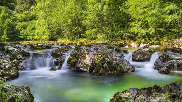 ✅Música relaxante flauta indígena e sons da Natureza- Acalmar a mente e relaxar
