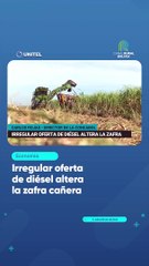 Irregular oferta de diésel altera la zafra cañera