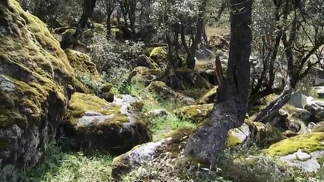 El Valle Sagrado de los Incas. Machu Picchu, Ollantaytambo.