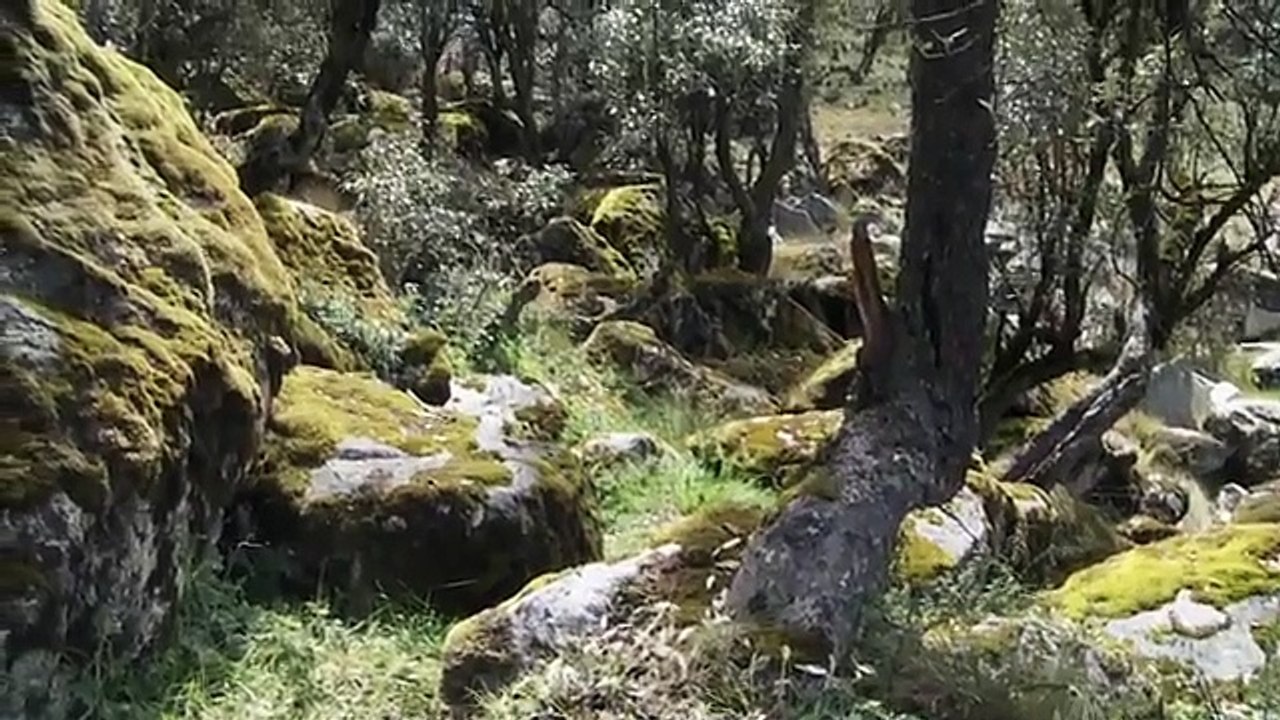 El Valle Sagrado de los Incas. Machu Picchu, Ollantaytambo.