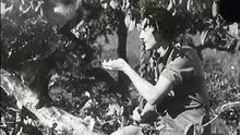 Tarzan and the Green Goddess (1935)