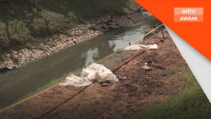 JAS periksa premis bertanggungjawab cemar Sungai Tebrau