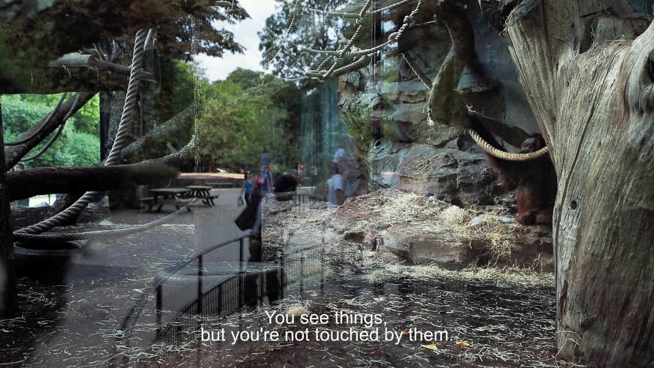 Curiosity and Control | movie | 2018 | Official Trailer