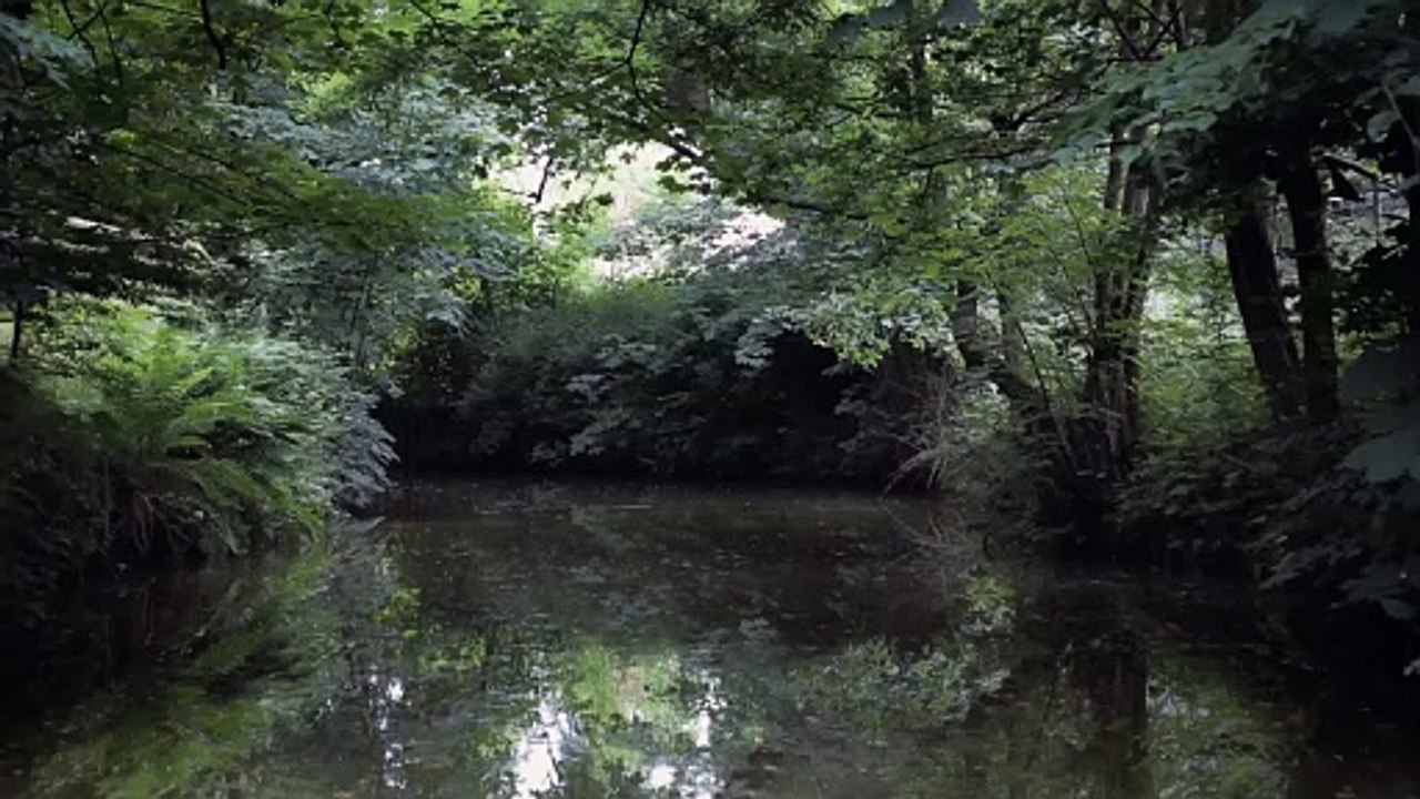 Curiosity and Control | movie | 2018 | Official Trailer