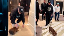 Canelo y su conmovedor video junto a un cachorrito previo a su pelea ante Berlanga