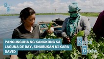 Pangunguha ng kangkong sa Laguna de Bay, sinubukan ni Kara David | Kara Docs