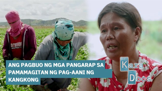 Ang pagbuo ng mga pangarap sa pamamagitan ng pag-aani ng kangkong | Kara Docs