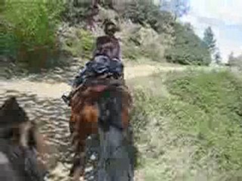 Deux débiles qui font la course en montagne