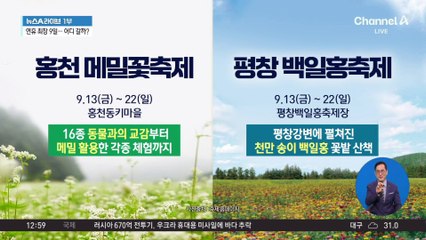 추석 연휴 시작…국내 최고 인기 여행지는?