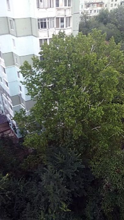 Облака похожие на ЯДЕРНЫЙ ВЗРЫВ ☁️