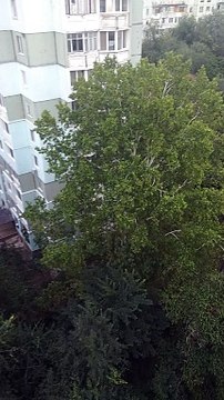 Облака похожие на ЯДЕРНЫЙ ВЗРЫВ ☁️