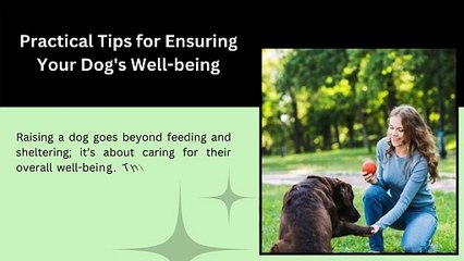 Creating the Perfect Routine for Raising Dog Well-Being