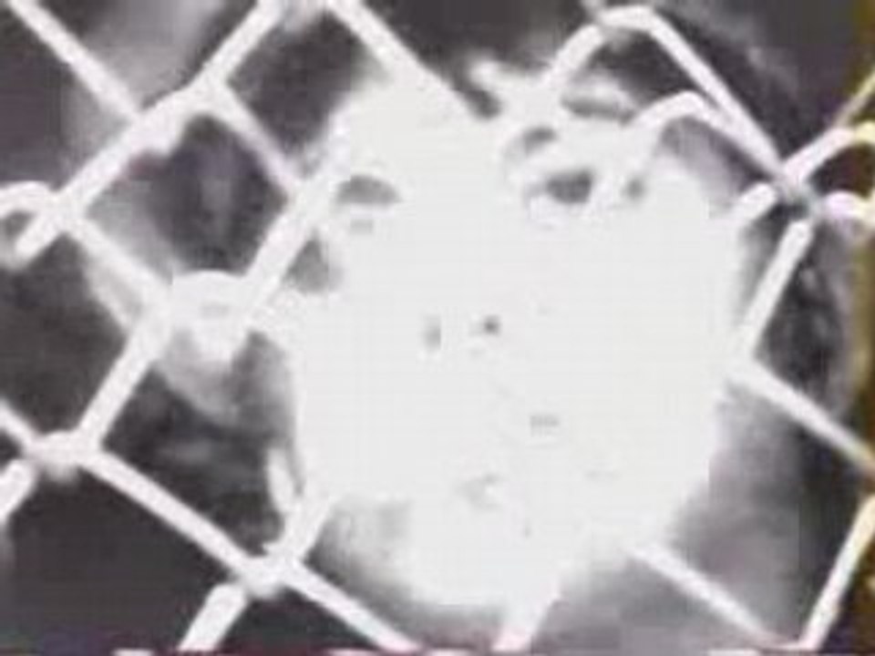 Molodoï - La Complainte Des Ouvriers