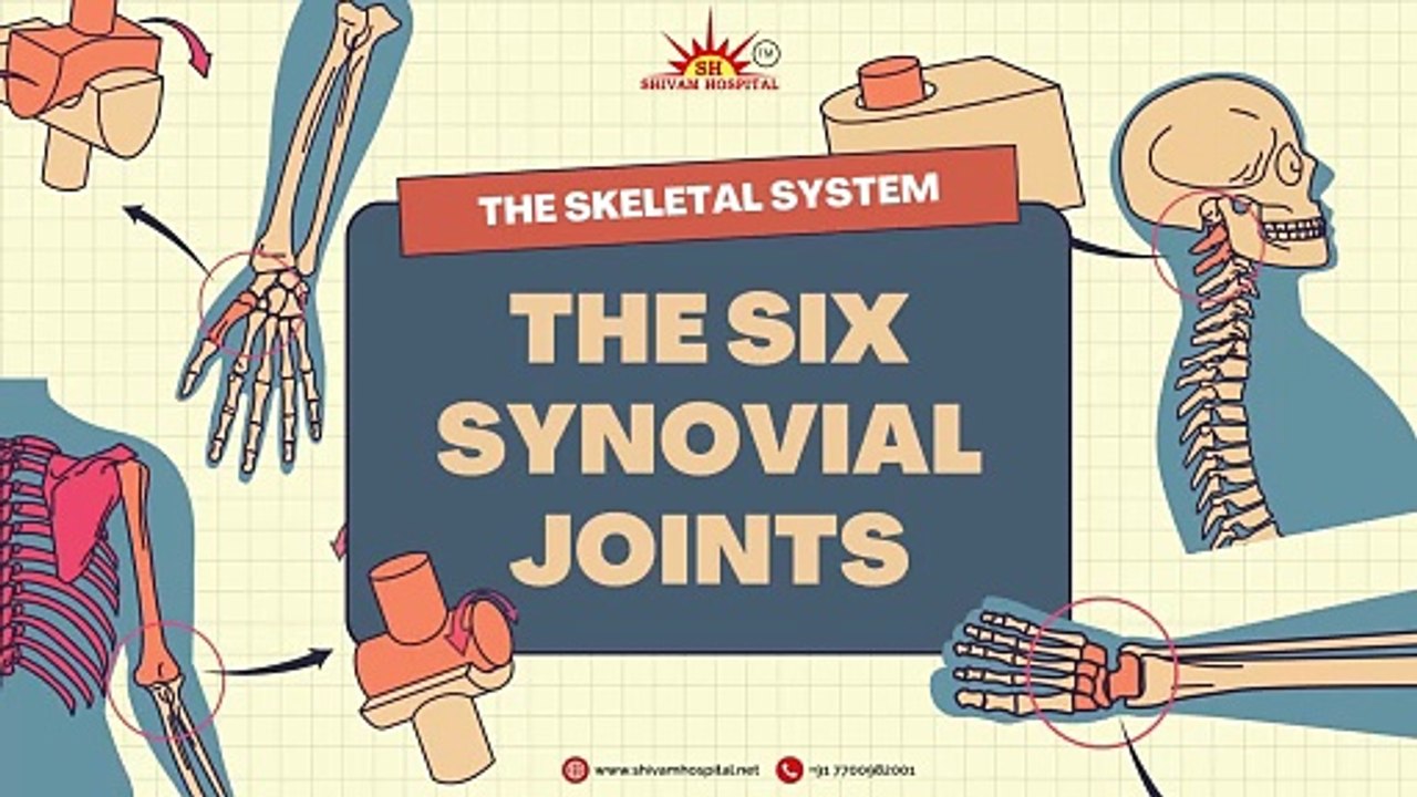 Understanding the Six Synovial Joints 