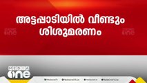 അട്ടപ്പാടിയിൽ ശിശുമരണം; മരിച്ചത് ഒരുമാസം പ്രായമായ പെൺകുഞ്ഞ്‌