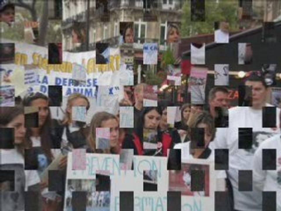 VIDEO MANIF2