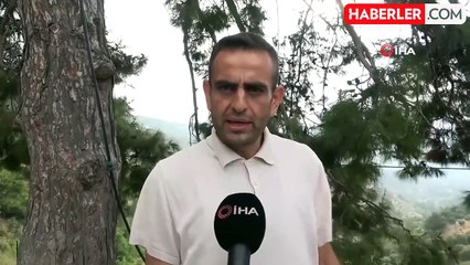Toprağa gizlenen zehirli engerek kamerada