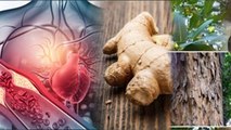 Herbs To Clean Blood Vessels: Ginger, Garlic, Turmeric & Many More...|Boldsky