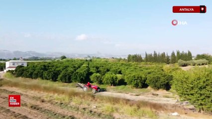 Funda Arar hayranlığı tarlaya traktörle isim yazdırdı