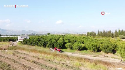 Funda Arar hayranlığı tarlaya traktörle isim yazdırdı: Bu hayranlığım son nefesime kadar devam edecek
