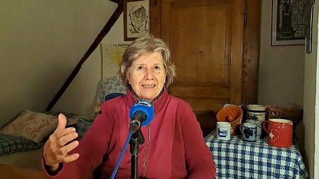 DCW-240916-Courgettel