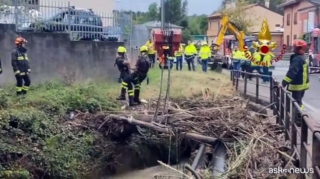 Maltempo nel triestino, alberi abbattuti e allagamenti