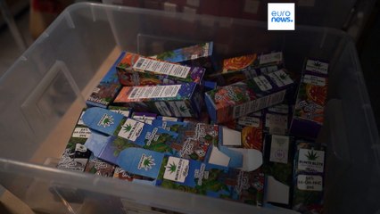 German conservatives threaten to reverse cannabis legalisation amid licence uncertainty