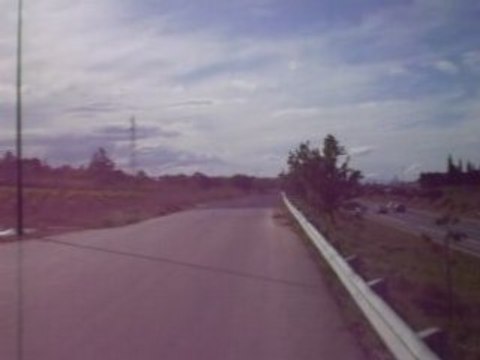 Run revolution pro race xl pata negra top rose