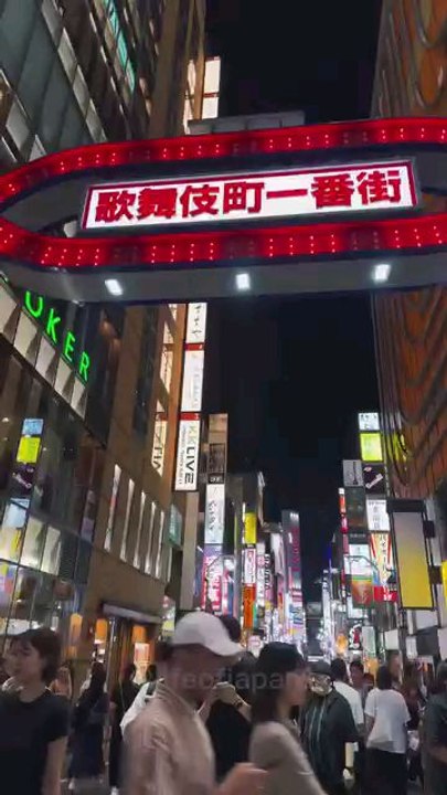 Japanese beautiful city view  ❤️