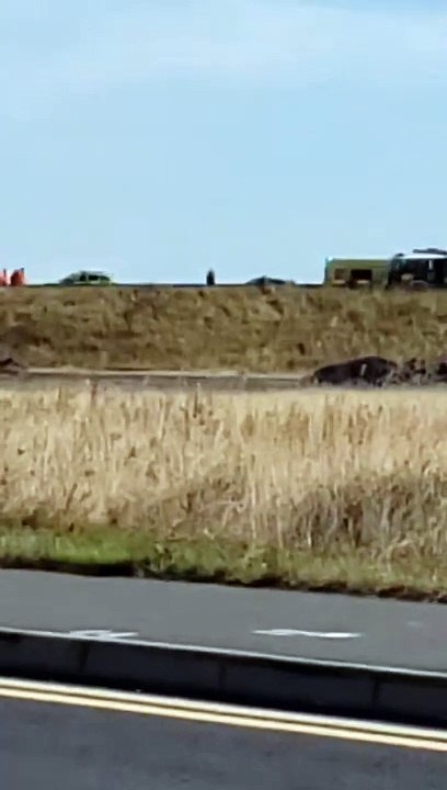 Air ambulance lands at scene of serious incident in Doncaster this morning