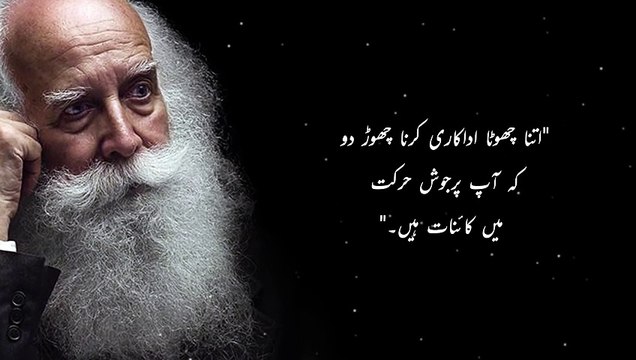 Most Useful and Wiser Proverbs about Women | wise quotes about women | famous quotes to inspire you